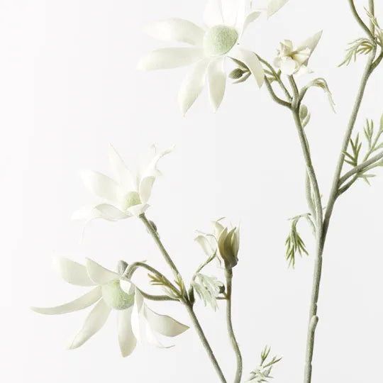 Flannel Flower Spray | Cream Green