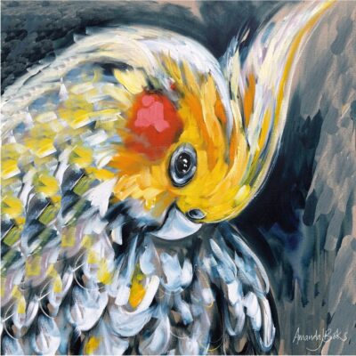 Bird Art By Amanda Brooks | Stone Drink Coaster Collection