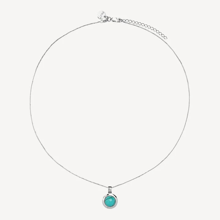 Husk Turquoise Small Necklace (45cm+ext)