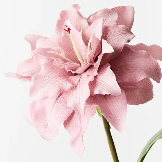 Roselily | Dusty Pink