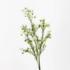 Wax Flower Spray | White