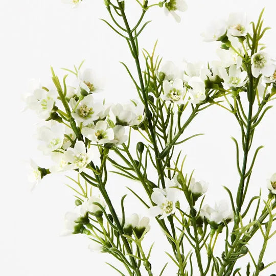 Wax Flower Spray | White