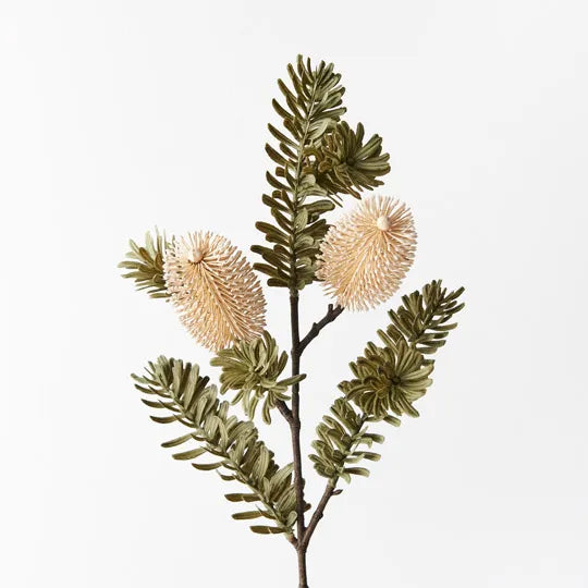 Banksia Spray | 66cm