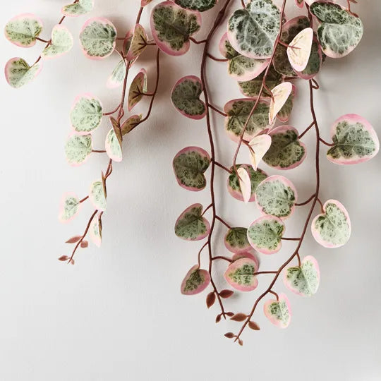 String of Hearts in Pot