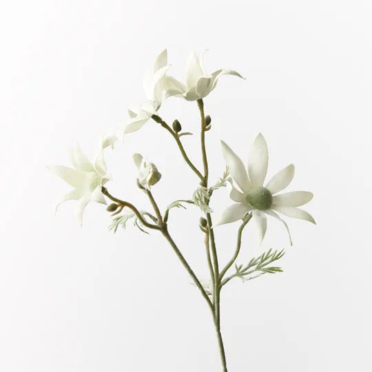 Flannel Flower Pick | Cream Green