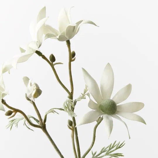 Flannel Flower Pick | Cream Green
