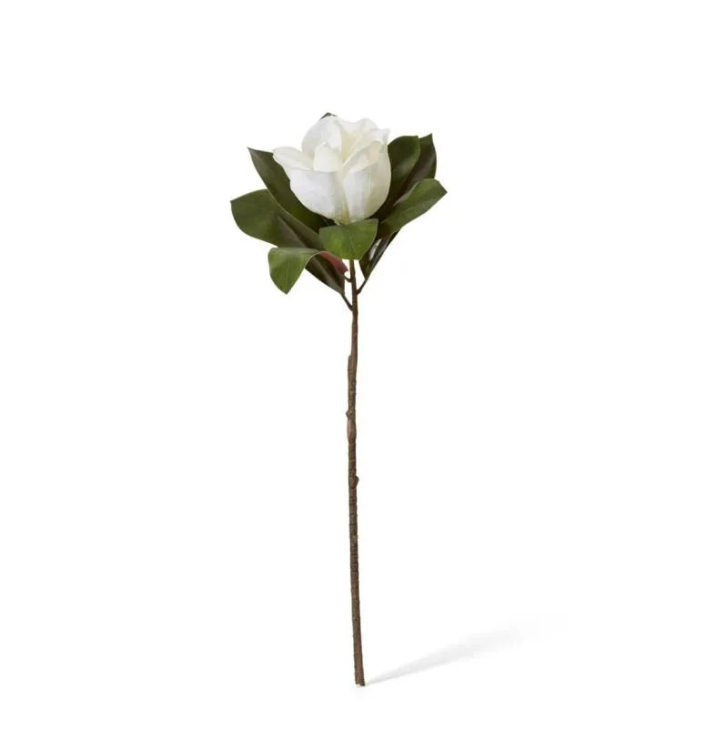 Magnolia Flower Stem |  White