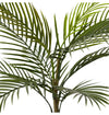 Areca Palm Outdoor) | Green