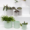 Alexa Planter Pots | Mint