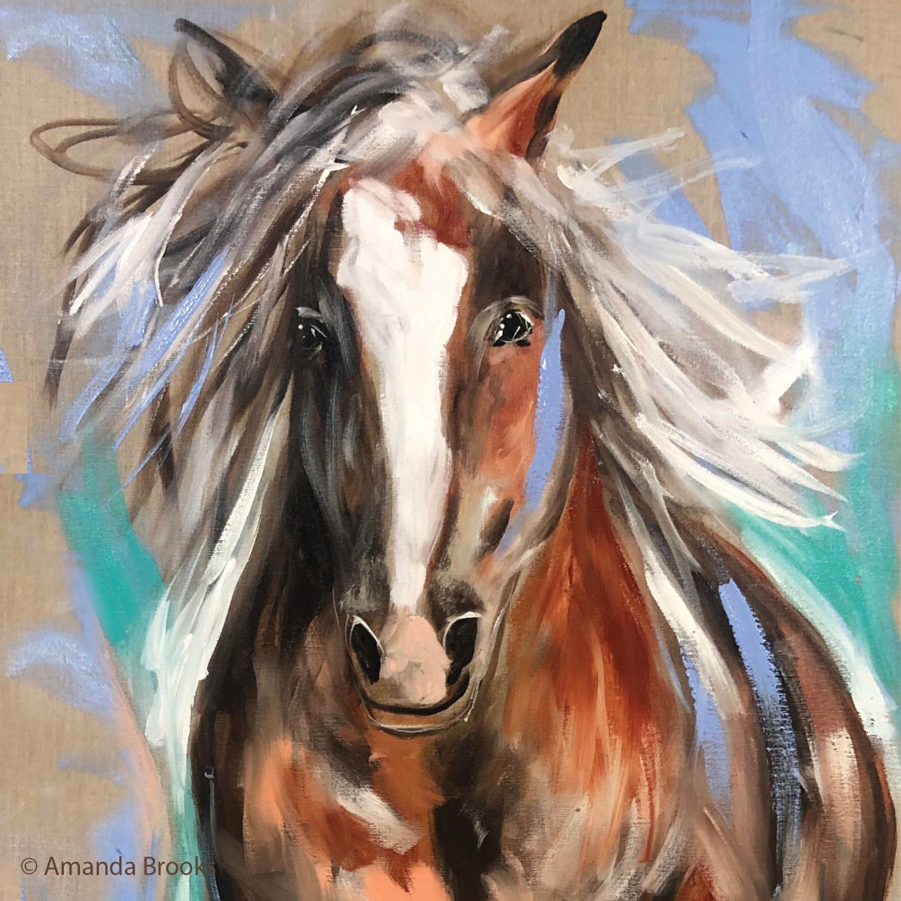 Country Australian Animals by Amanda Brooks | Stone Drink  Coaster Collection