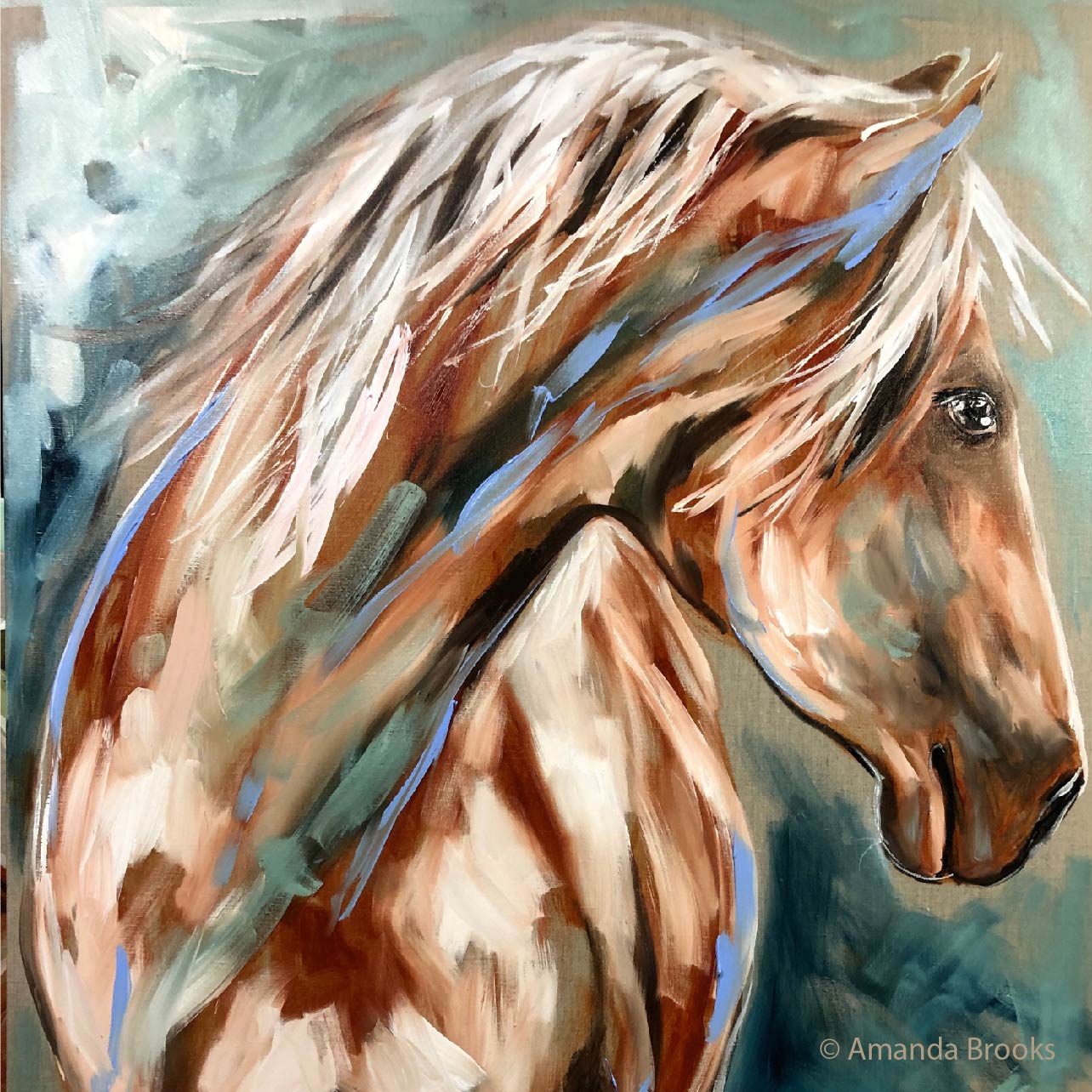 Country Australian Animals by Amanda Brooks | Stone Drink  Coaster Collection