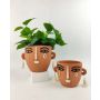 Monarch Face Planter | Terracotta | Assorted Sizes