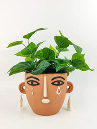 Monarch Face Planter | Terracotta | Assorted Sizes
