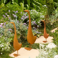 Tall Ducks Rust | Garden