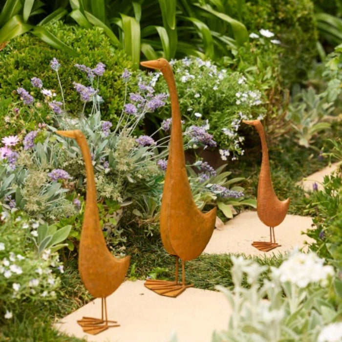 Tall Ducks Rust | Garden