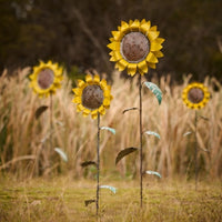 Yellow Sunflower | Garden | Ornament