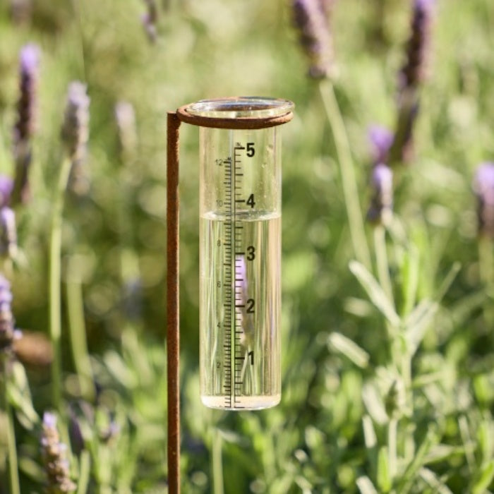 Stake Rain Gauge Rust Large