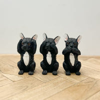 Hear No See No Speak No Evil | Frenchie