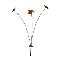Stake Daisy Spray Rust