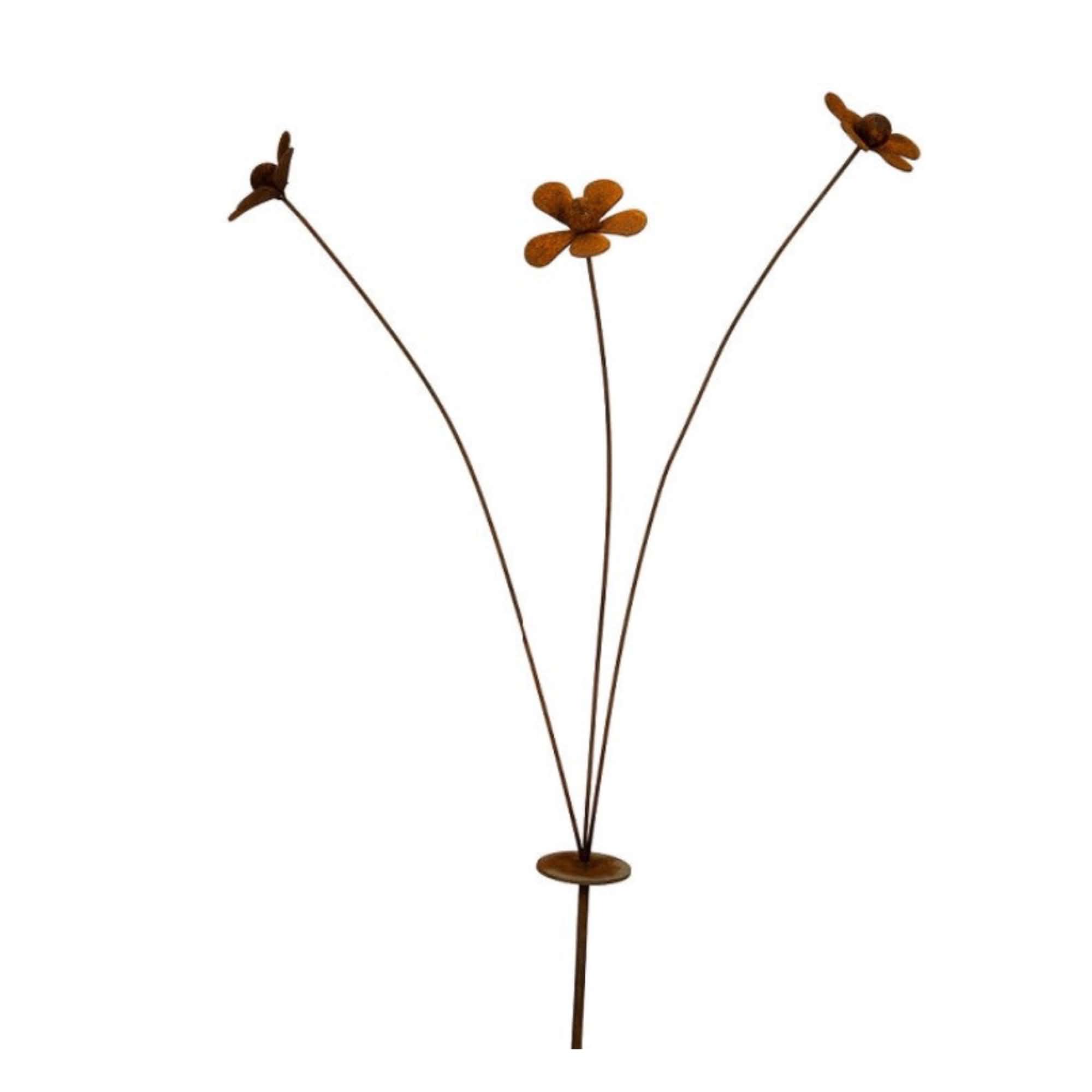 Stake Daisy Spray Rust
