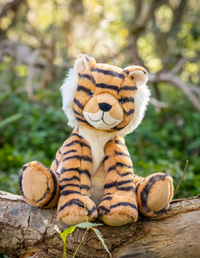 Tesh the Tiger