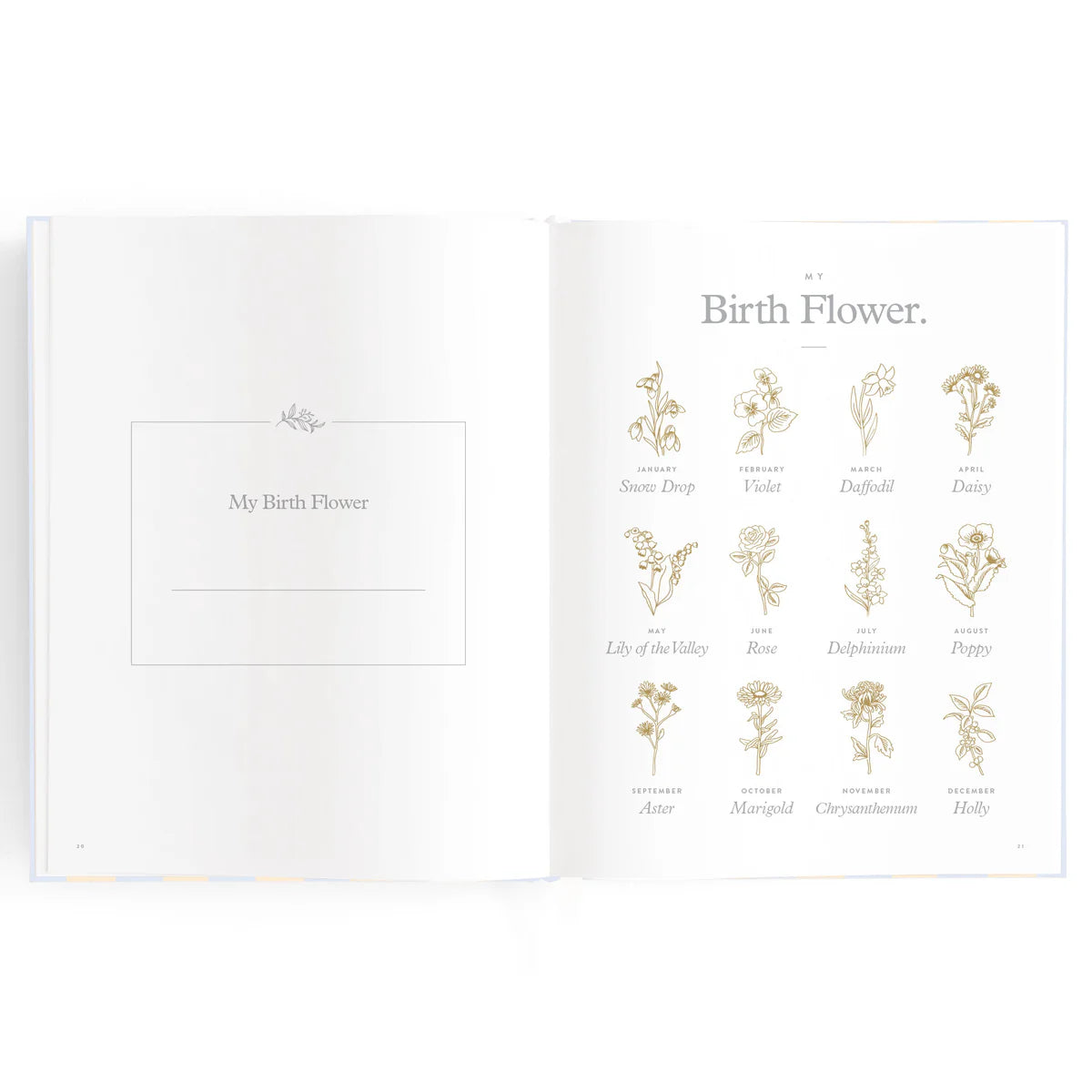 Baby Book Petal Stripe 0-6 Years | Keepsake 3rd Edition