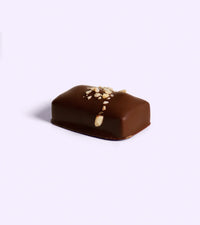 Hazelnut Butter Praline Chocolate Twin Pack