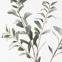 Olive Leaf Spray | Grey Green