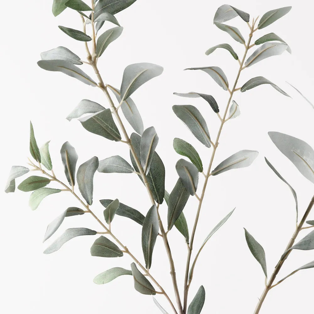 Olive Leaf Spray | Grey Green
