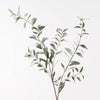 Olive Leaf Spray | Grey Green