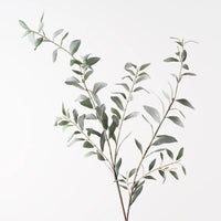 Olive Leaf Spray | Grey Green
