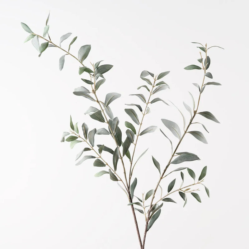 Olive Leaf Spray | Grey Green