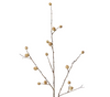 Berry Pod Dried Look Branch | Natural