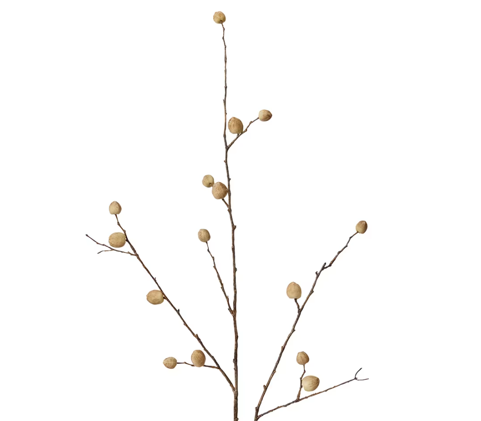 Berry Pod Dried Look Branch | Natural