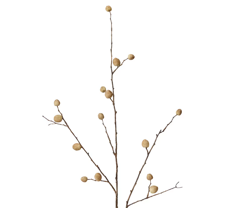 Berry Pod Dried Look Branch | Natural