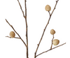 Berry Pod Dried Look Branch | Natural