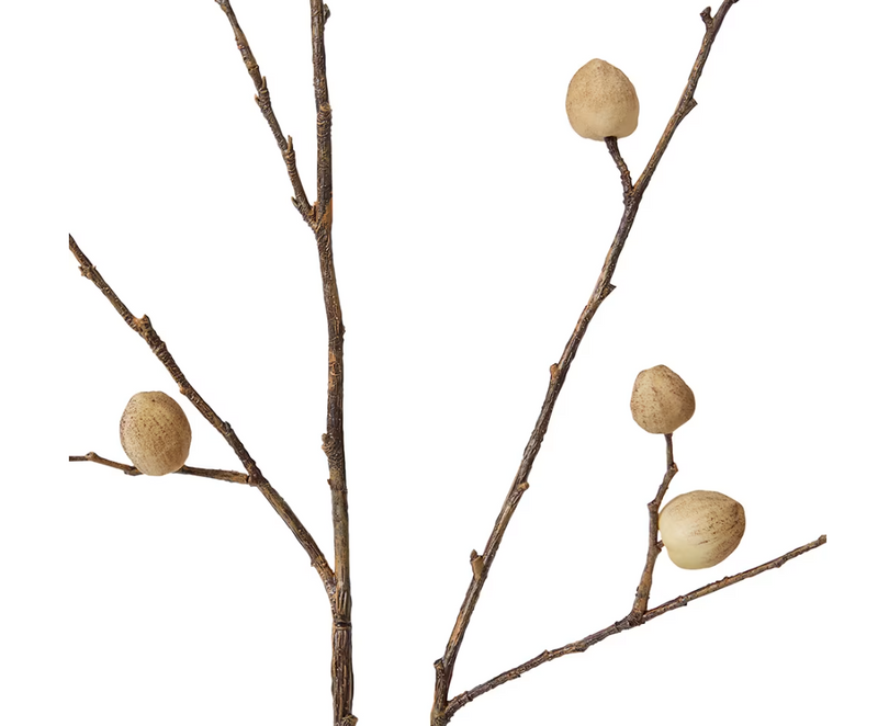 Berry Pod Dried Look Branch | Natural