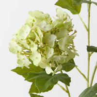 Hydrangea Spray | Light Green