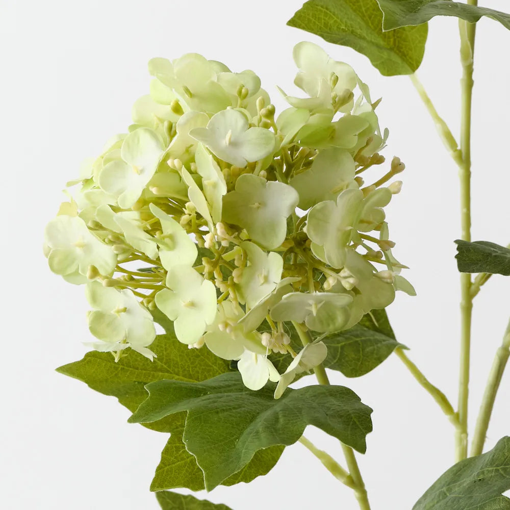 Hydrangea Spray | Light Green