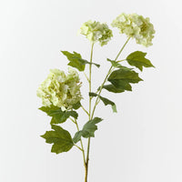 Hydrangea Spray | Light Green