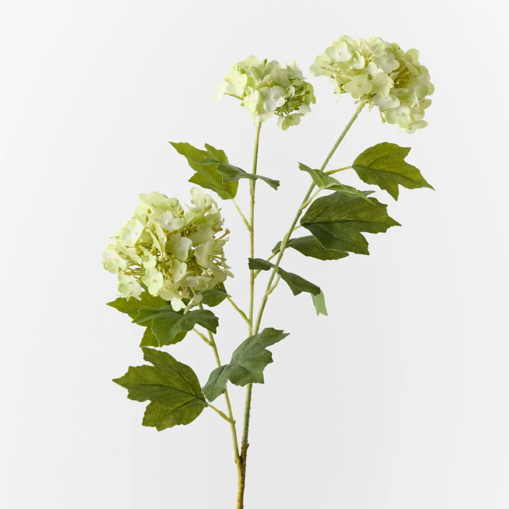Hydrangea Spray | Light Green