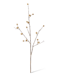 Berry Pod Dried Look Branch | Natural