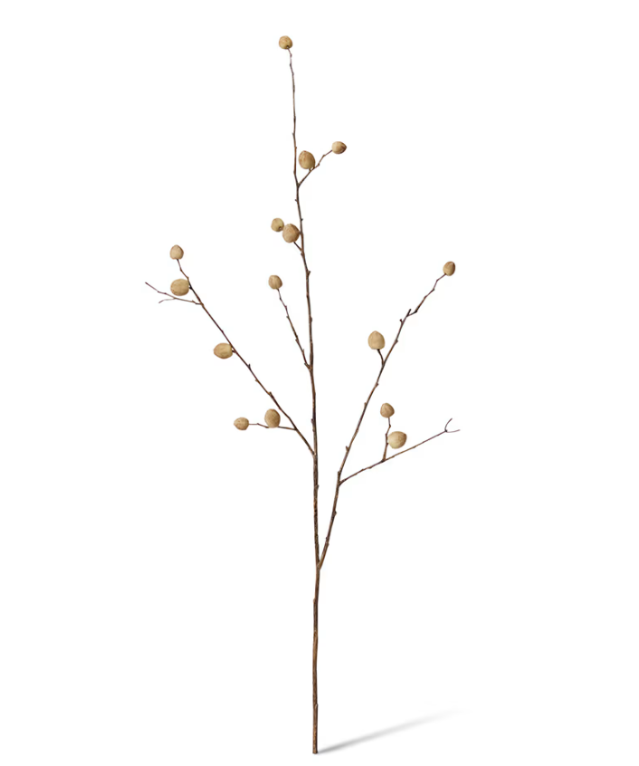 Berry Pod Dried Look Branch | Natural
