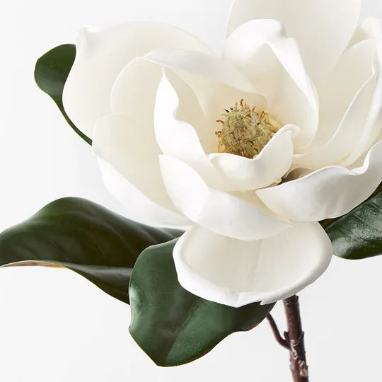 Magnolia Floral Stem