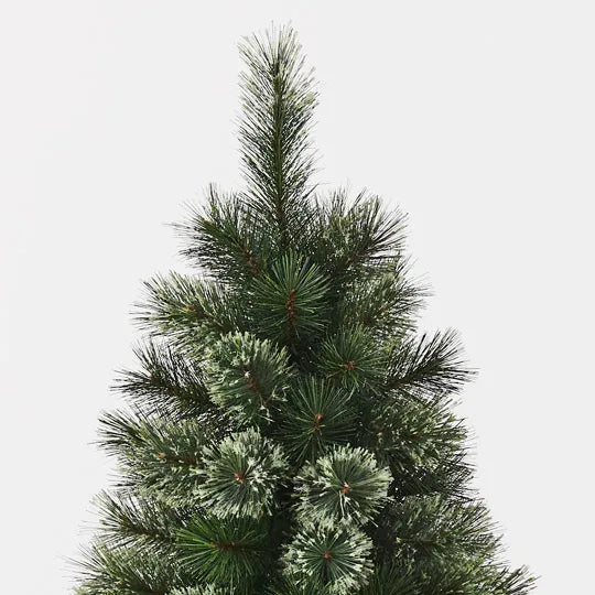 Tree Pine Alaskan | Green