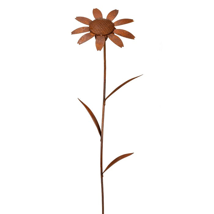 Stake Daisy Rust