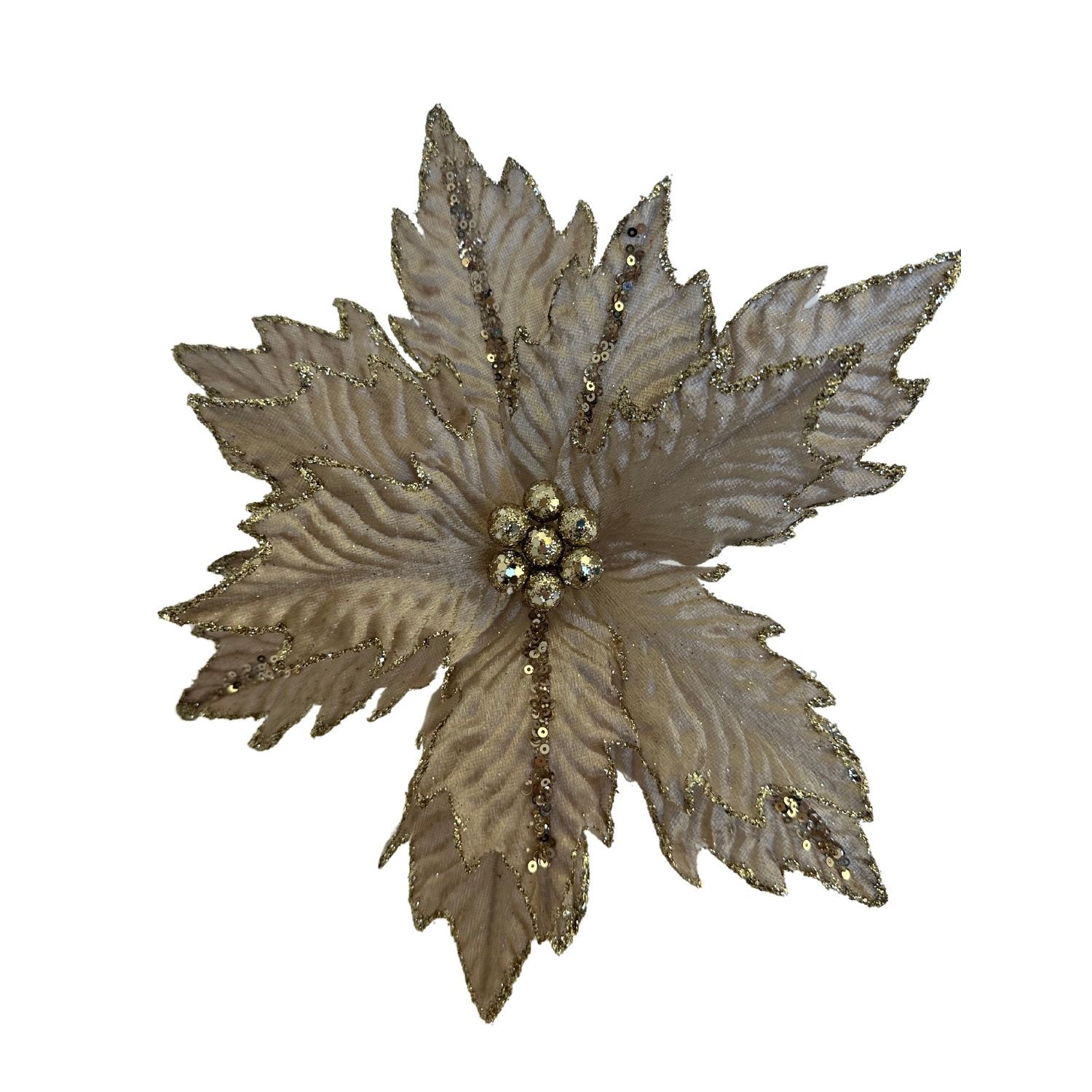 Champagne Poinsettia
