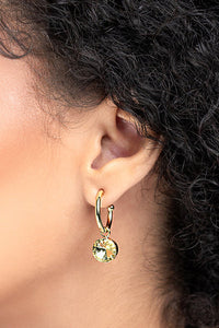 Sara Gold Clear Earring