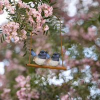 Fairy Wrens On Hanger