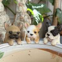 Assorted Frenchie Pot Sitters